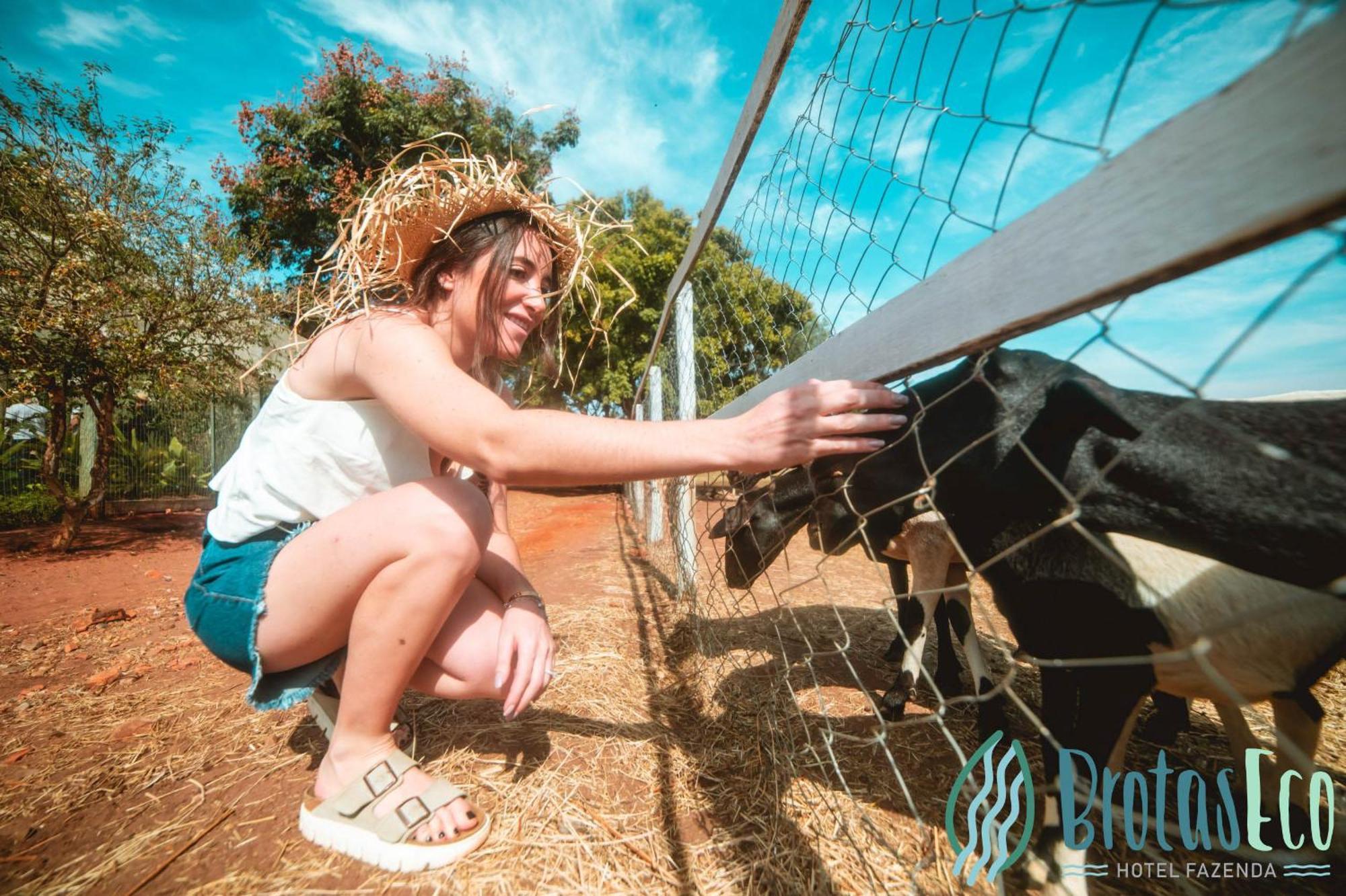 Brotas Eco Hotel Fazenda Luaran gambar