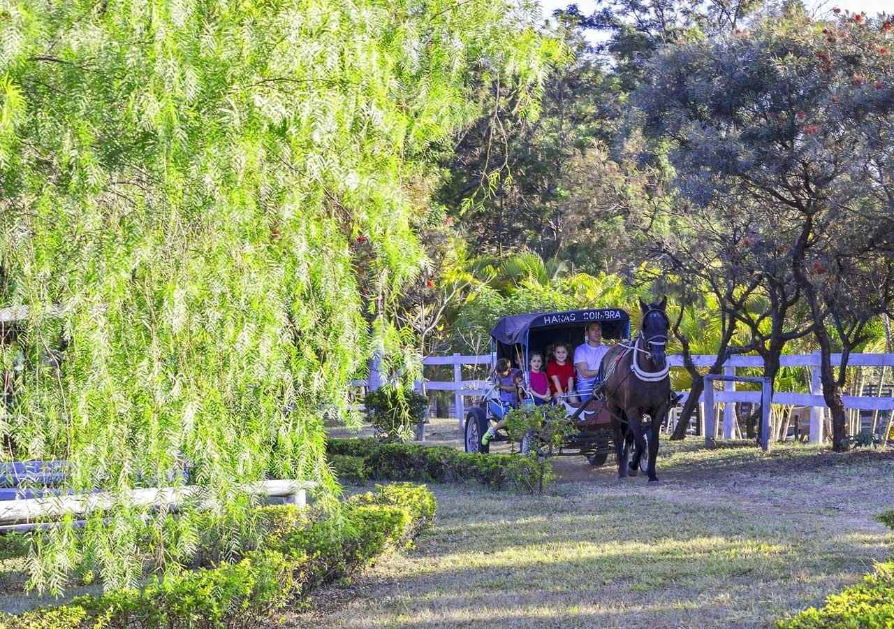 Brotas Eco Hotel Fazenda Luaran gambar